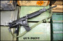 FN PARA 5.56mm 16” Barrel S&H Registered Sear S&H Build 