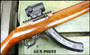 "The Copper Head" Custom Integrally Suppressed Ruger 10/22 Holosun 2 Mags