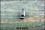 DIAS By CENTRE Firearms Co The Best In World Of DIAS