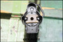 HMP5 Volmer Mfg Fleming Sear MINT 9mm Transferable MP5 Machine Gun