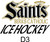 Berks Catholic Ice Hockey Dry fit Polo