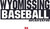 Wyomissing Baseball LSTS 