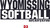 Wyomissing Softball Lightweight Performance Hoody