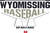 Wyomissing Baseball Lightweight Performance Hoodie