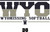 Wyomissing Softball Triblend T-shirt