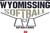 Wyomissing Softball Triblend T-shirt