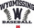 Wyomissing Baseball Triblend T-shirt