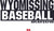 Wyomissing Baseball Flowy Dolman shirt