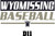 Wyomissing Baseball Tie Dye TS