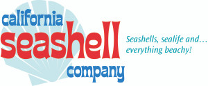 California Seashell Company