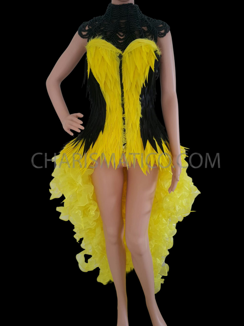 Yellow And Black Feather Corset, Beaded Necklace, And Organza Tail-Skirt