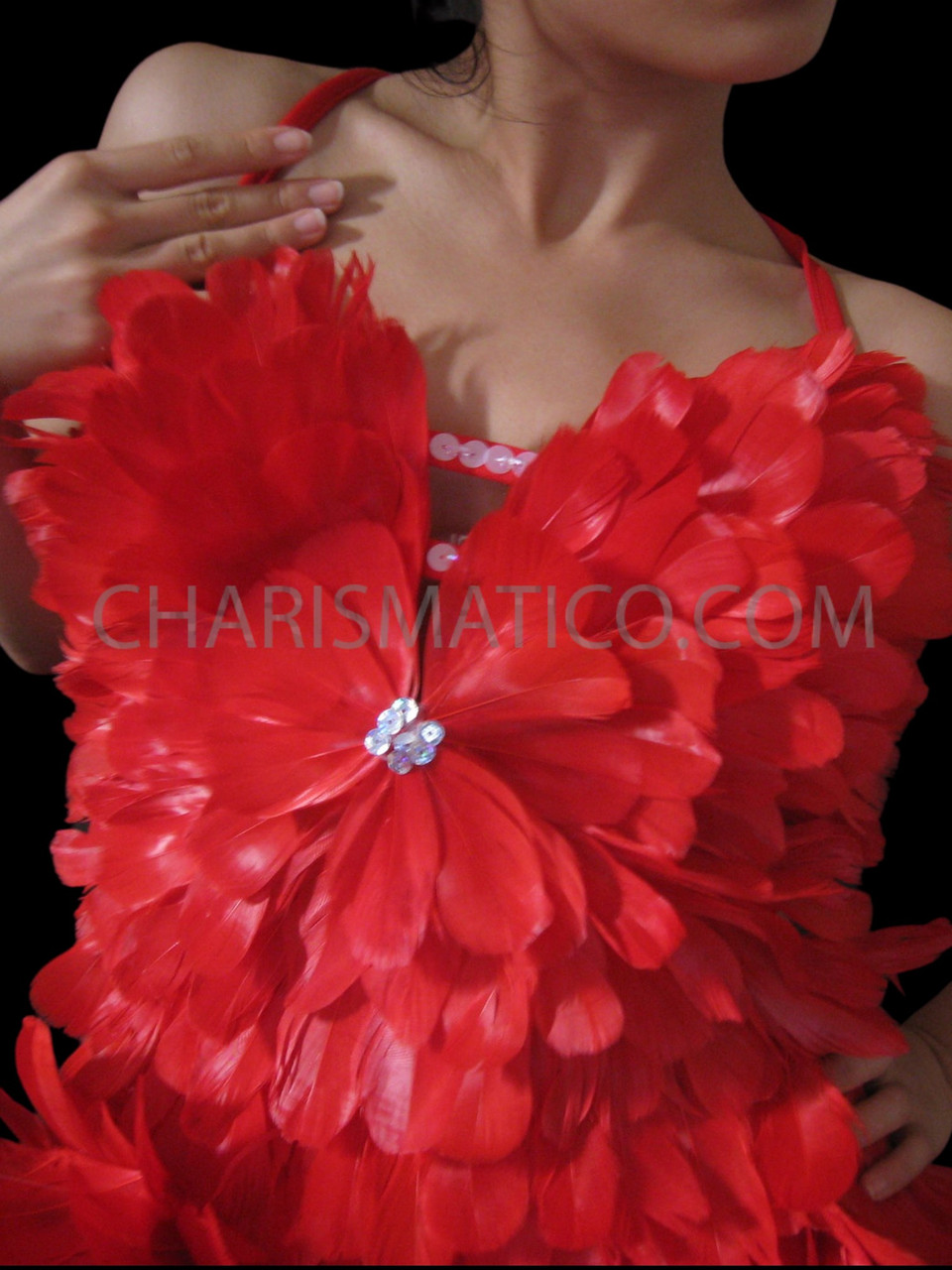 best dressed ashley website