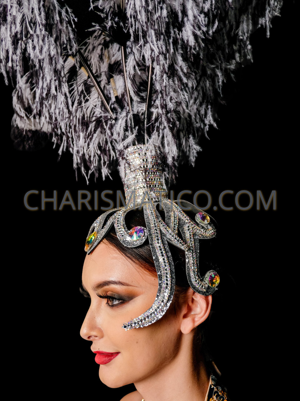 White Ostrich Feather With Pheasant Feather Headdress