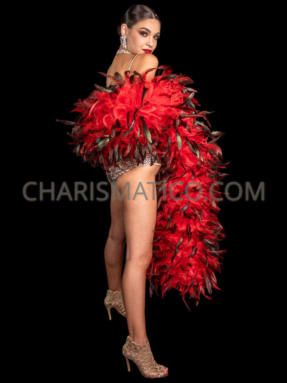 Feather Boa Garland Fancy Dress Costume Party Hen Party Burlesque