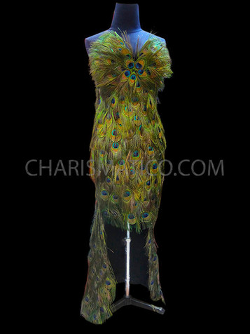 Diva's Strapless Two-Piece Peacock Feather Gown With Long Back Train