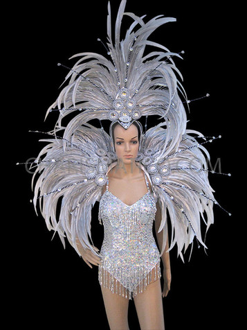 Silver Sequin Dance Leotard With Matching Silver Backpack Wing And Headdress
