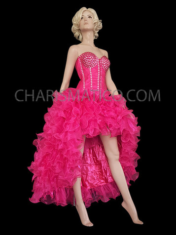Burlesque Embroidered Hot Pink Corset With Organza Ruffle Skirt