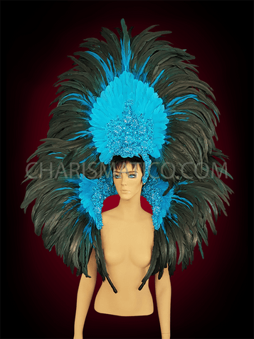 Vibrant and Gorgeous Rooster Feather a Headdress And Backpack