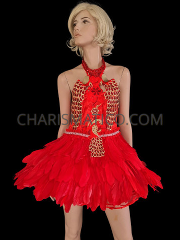Diva Red Feathered Silver Sequinned Bird Show Girl Dress