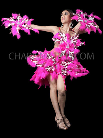 Fuchsia Burlesque Extravagant Feather Dress