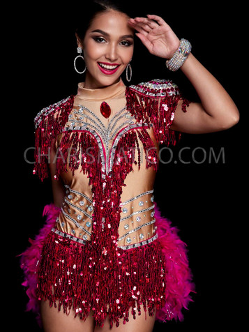 Fuchsia Diva Boa Leotard With Feather Tail And Silver Sequins