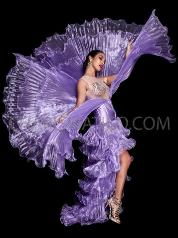 Full Length Tier Ruffled Quick Change Lavender Pleated Wing Gown