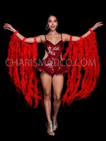 Red Fire Sequin Ruffles Leotard with Feather Fringe Arm Cuff Gauntlet