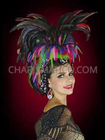 Carnival Costume Feathers Rhinestone Samba Costume Angel Wings Fantasy Fest  Carnival Showgirl Set Hora Loca -  Canada