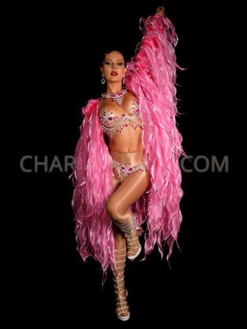 Carnival Showgirl Costumes, Sequin Showgirl Dress, Leotard & Outfits - Page  5