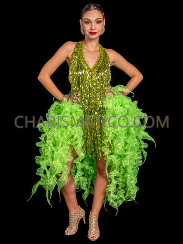 https://cdn11.bigcommerce.com/s-07991/images/stencil/357x476/products/7249/82889/Deep_Parrot_Green_Sexy_Dance_Diva_Long_Tail_Sequin_Asymmetrical_Dress_DS6846_1__21804.1702370356.jpg?c=2