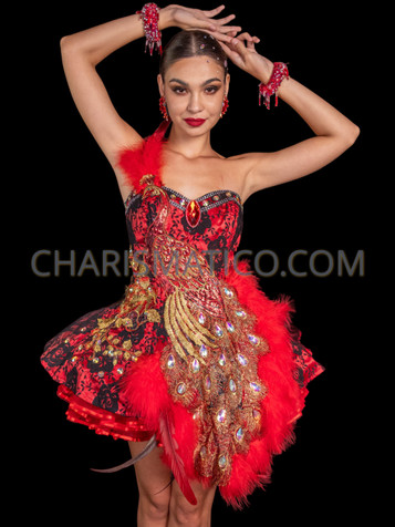 Black red new design fringe lady latin dance dresses sexy women Sequin  Latin Dance Dress for ballroom dancing Vestido latino
