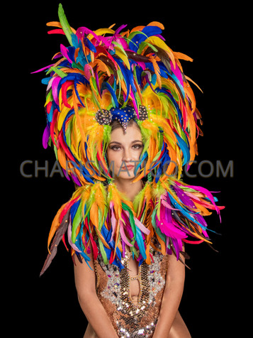 Peacock Carnival Costume Feathers Samba Costume Angel Wings Fantasy Fest  Carnival Showgirl Set Hora Loca -  Canada