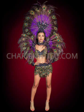 Plume Majesty Carnival Samba Peacock Costume Set