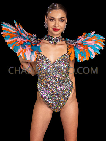 Colorful Striking Duck Feather Samba Collar