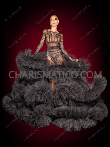 Black Majestic Queens Tulle Train Tail Back Skirt