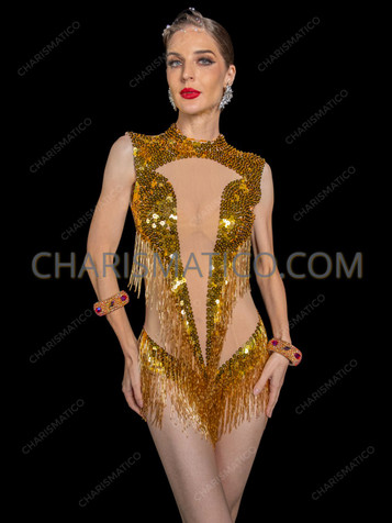 Golden Diva V-Neck Beaded Fringe Illusion Mesh Dance Leotard