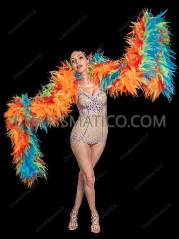 Tropical Sunset Multi-Tone Feather-Effect Organza Ruffle Boa