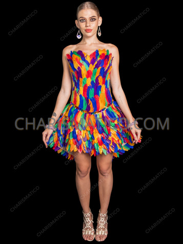 Multicolor Feather Carnival Corset Flare Dress 