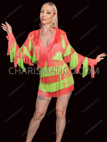 Two-Tone Long Sleeve Fringe Latin Show Dress