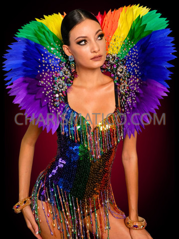 Rainbow LGBTQ+ Parade Pride Feather Backpack CLEARANCE