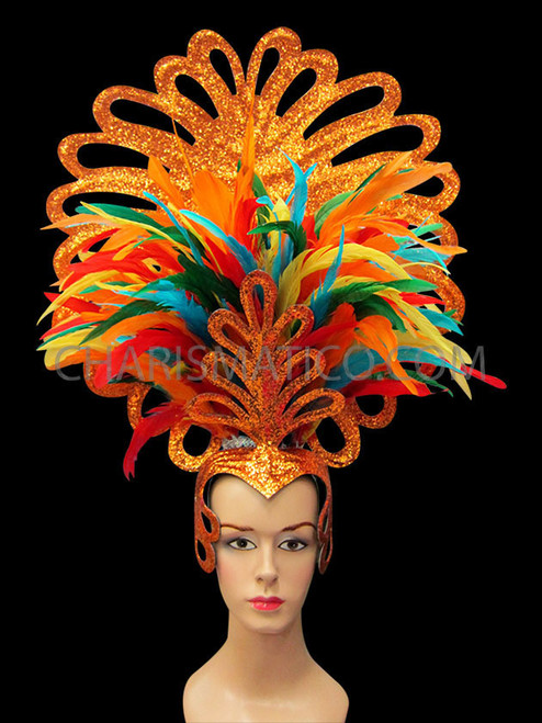 Multiple Colored Feather 