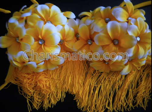 Yellow Flowery Hawaii Ruffle Skirt And Flower Bra