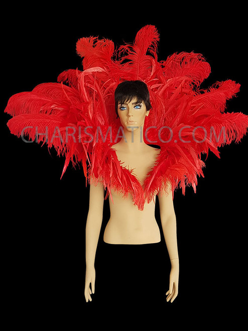 Ostrich Feathers - Wing Plumes