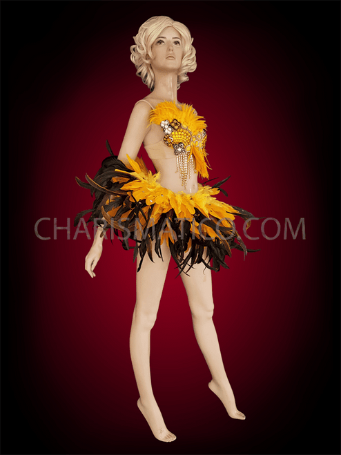 black bird dance costume