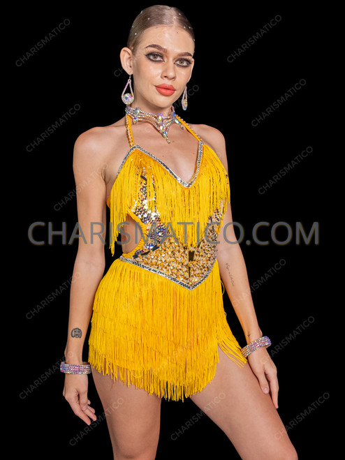 salsa dance dress Latin Tango Ballroom Red Tassel Competition Dress Performance This dress is ideal for practice or a social event and features a asymmetrical neck and sleeves Cartagena High-Low Asymmetric Salsa Dress