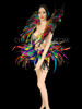 Carnival Patchwork Beaded And Feathered Samba Bra, Belt, And Collar Costume Set