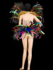 Carnival Patchwork Beaded And Feathered Samba Bra, Belt, And Collar Costume Set