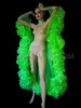 Silver Trim Accented Green Organza Boa Drag Queen Wing Cape