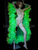 Silver Trim Accented Green Organza Boa Drag Queen Wing Cape