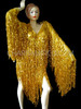 Gold Shiny Fringe Long Sleeve Dress